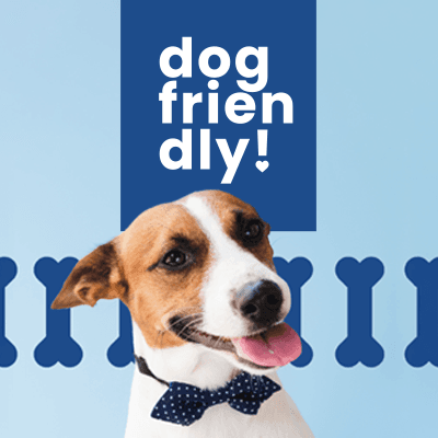 Somos Dog Friendly
